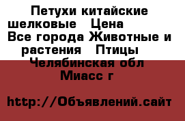 Петухи китайские шелковые › Цена ­ 1 000 - Все города Животные и растения » Птицы   . Челябинская обл.,Миасс г.